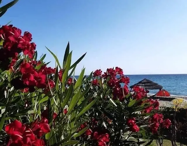 Entre Et Montagne * サン・ニコラオ