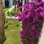 Daire Entre Et Montagne