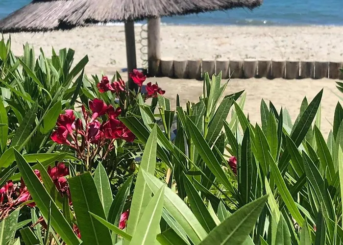 Entre Et Montagne Apartment